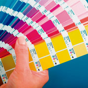 Full Print Folding Tablecloth Fallen